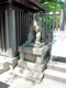乃木神社／二の鳥居前の狛犬