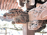 柴又帝釈天／帝釈堂