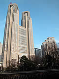 東京都庁／新宿中央公園から